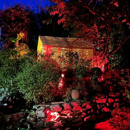 Bumble Bee Cottage プリマス エクステリア 写真